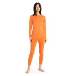 Icebreaker 200 Oasis Long Sleeve Crewe Femme -Patago Vetements Magasin main 104375547 3 7601