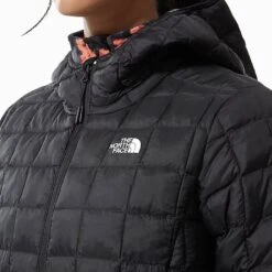 The North Face Thermoball Eco Hoodie 2.0 Femme Noir -Patago Vetements Magasin main Capture d cran 2022 12 07 17.48.44 55e9