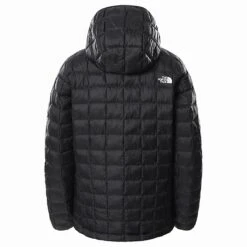 The North Face Thermoball Eco Hoodie 2.0 Femme Noir -Patago Vetements Magasin main Capture d cran 2022 12 07 17.49.42 69a8